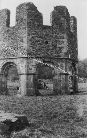 MELLIFONT ABBEY LAVABO FROM S.E.